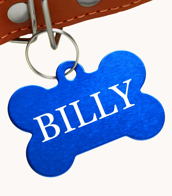 BillyTag Blue