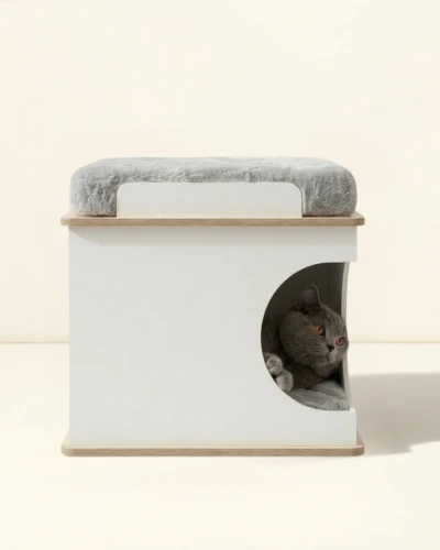 CatHaus Penthouse
