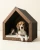 DogHaus