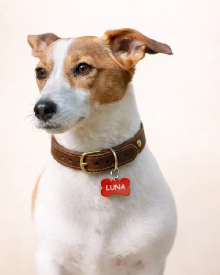 BillyTag