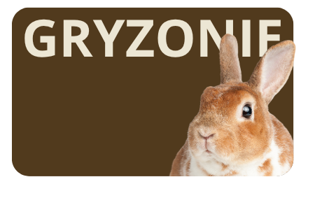 kategoria gryzonie