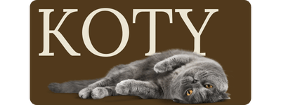 kategoria koty